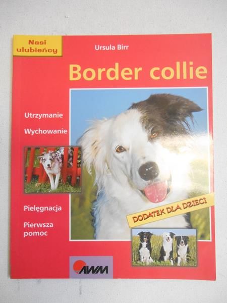 Birr Ursula - Border collie