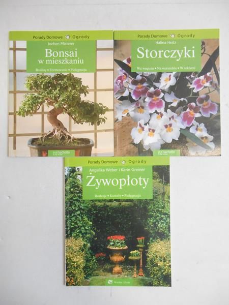 Storczyki  Bonsai w mieszkaniu  Żywopłoty