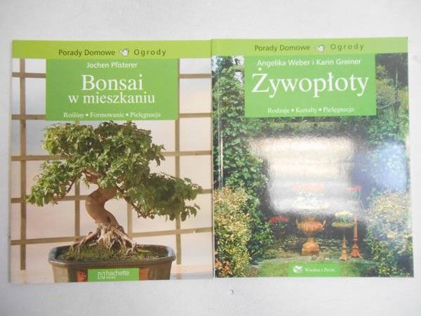 Bonsai w mieszkaniu  Żywopłoty