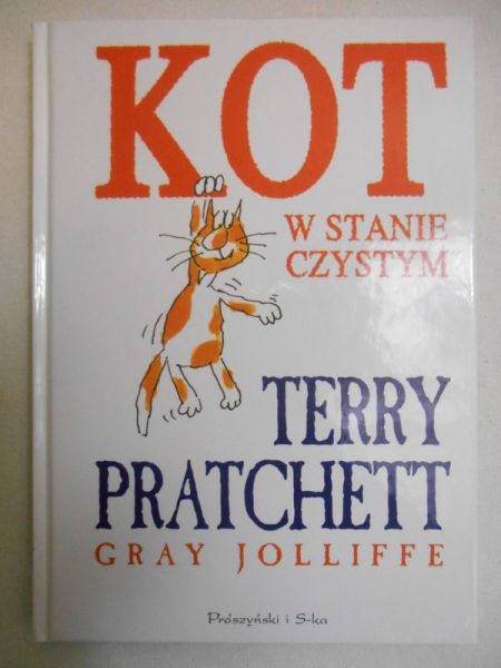 Kot w stanie czystym