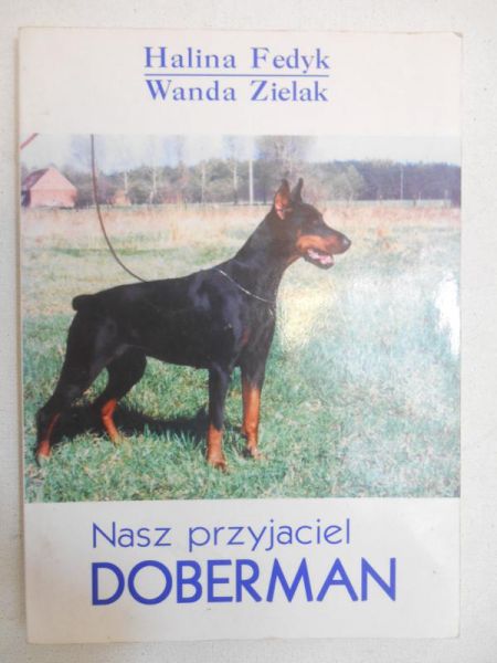 Nasz przyjaciel doberman