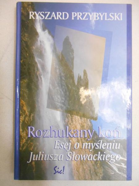 Rozhukany koń