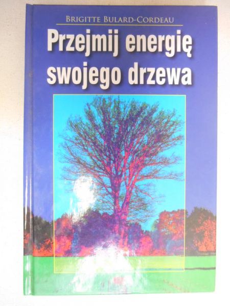 Przejmij energię swojego drzewa