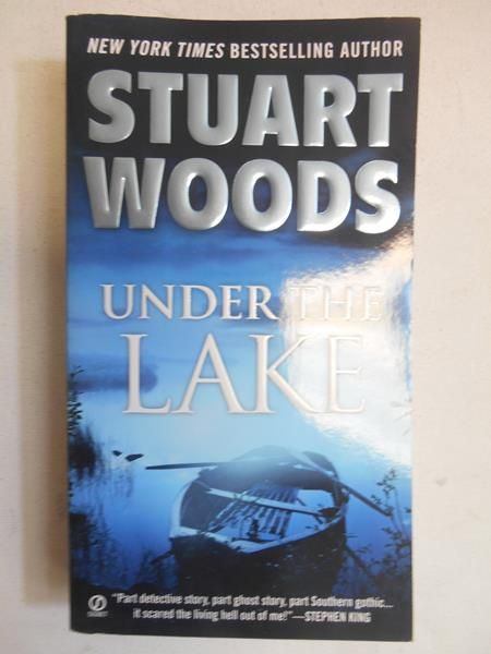 Under the Lake