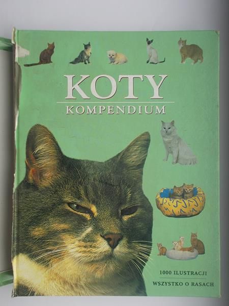 Koty. Kompendium