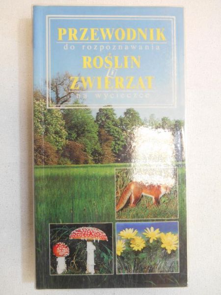 W.  - Przewodnik do rozpoznawania roślin i zwierząt na wycieczce