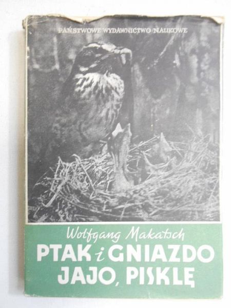 Ptak i gniazdo, jajo, pisklę