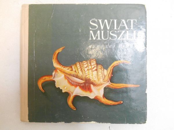 Świat muszli