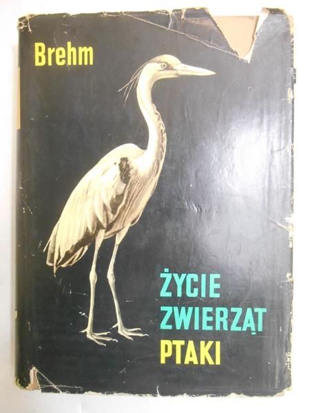Brehm Alfred - Życie zwierząt. Ptaki
