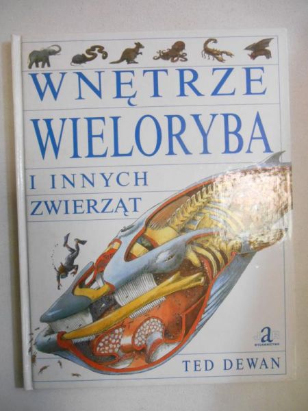 Wnętrze wieloryba i innych zwierząt