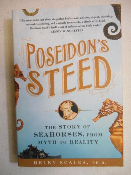 Poseidon's Steed