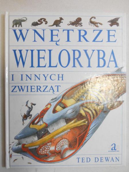 Wnętrze wieloryba i innych zwierząt
