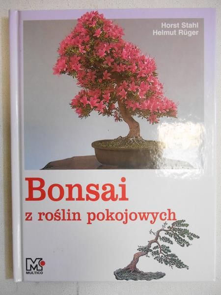Bonsai z roślin pokojowych