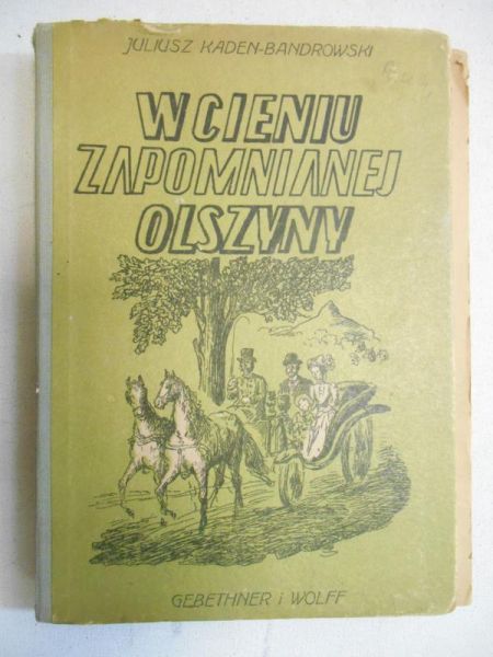 Kaden Bandrowski  - W cieniu zapomnianej olszyny, 1947 r.