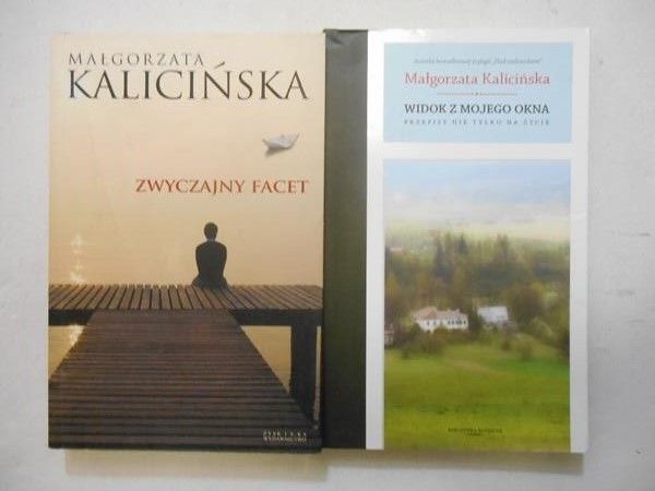 Zwyczajny facet / Widok z mojego okna