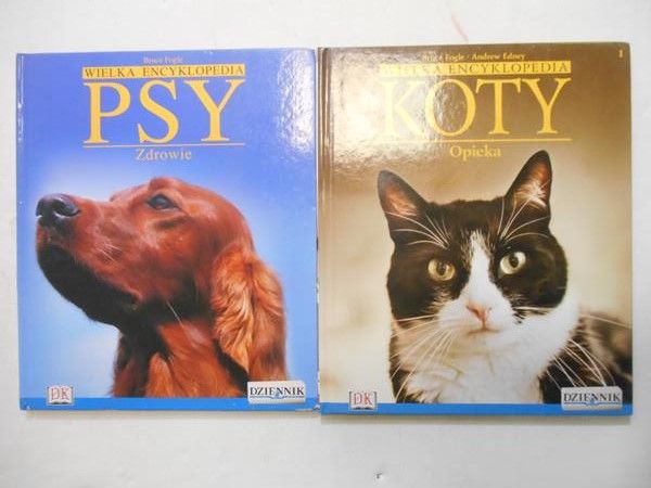 Koty / Psy