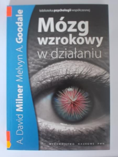 Mózg wzrokowy w działaniu