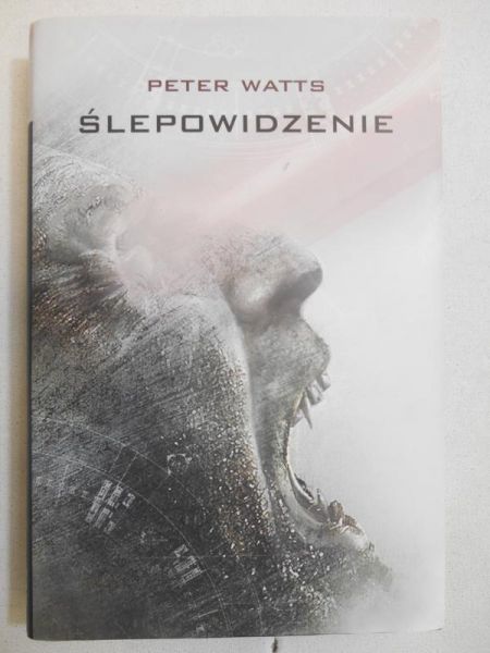 Ślepowidzenie