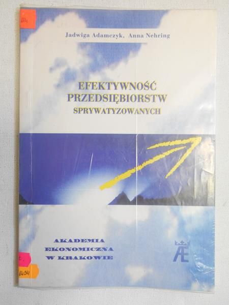 Adamczyk Jadwiga - Efektywność przedsiębiorstw sprywatyzowanych