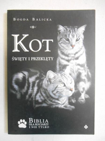 Kot. Święty i przeklęty