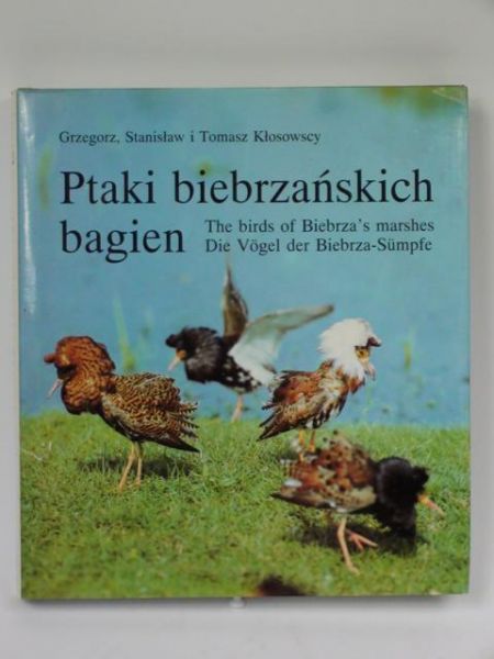 Tomasz - Ptaki biebrzańskich bagien