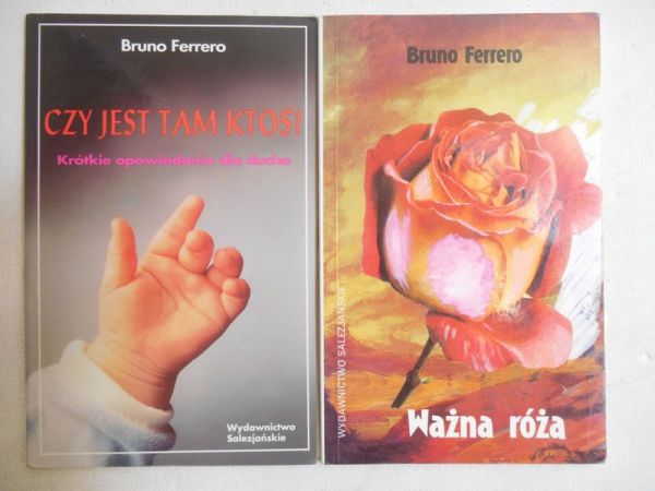 Ważna róża / Czy jest tam ktoś?