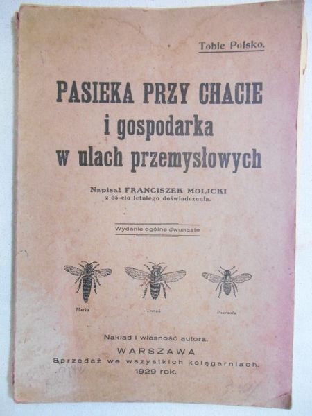 Pasieka przy chacie i gospodarka w ulach przemysłowych, 1929 r.