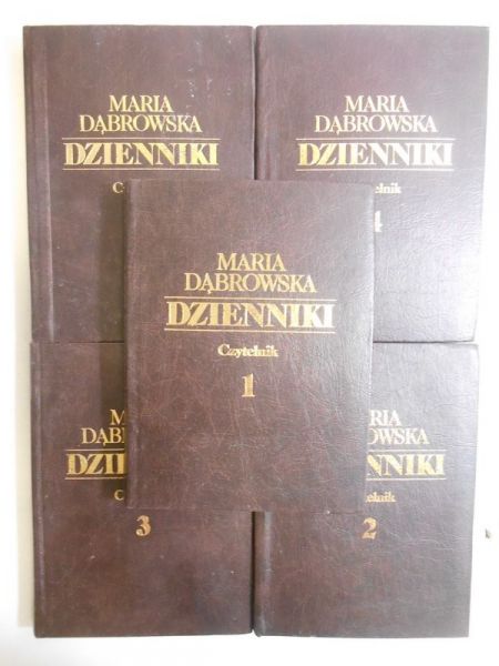 Dzienniki, t. I-V