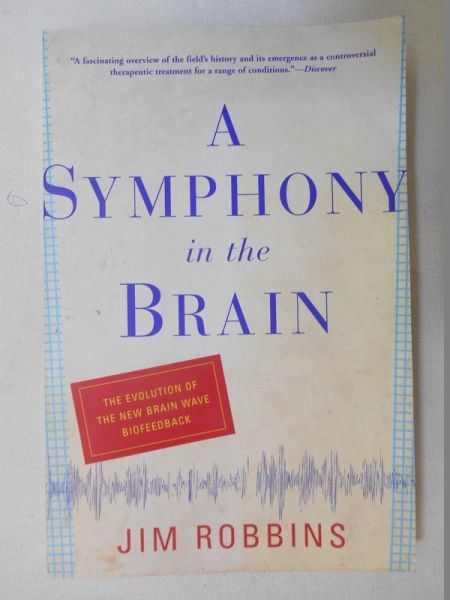 A Symphony in the Brain