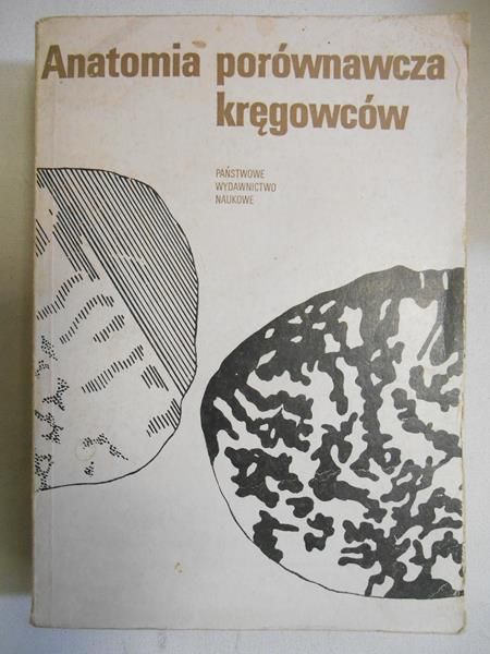 Anatomia porównawcza kręgowców