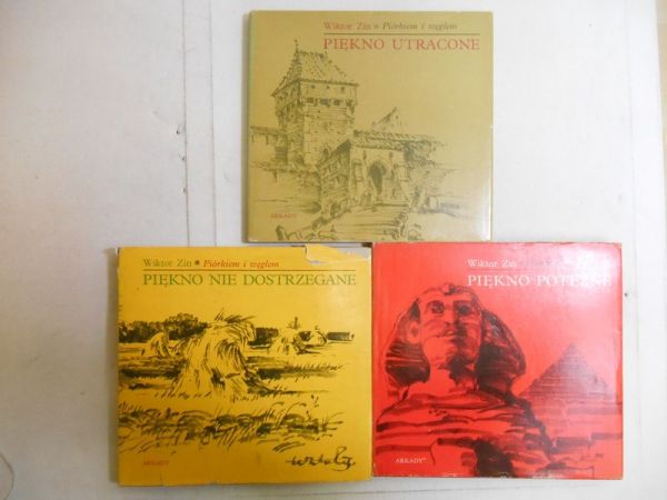 Piękno utracone / Piękno nie dostrzegane / Piękno potężne