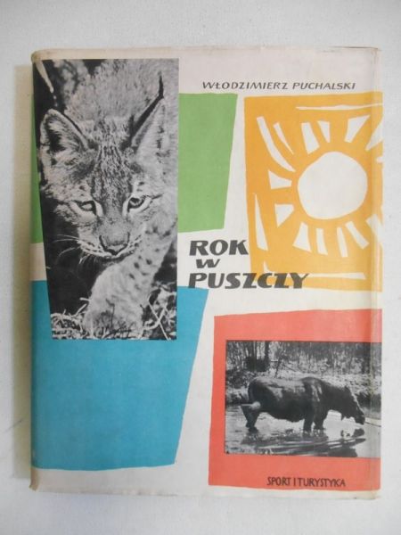 Rok w puszczy