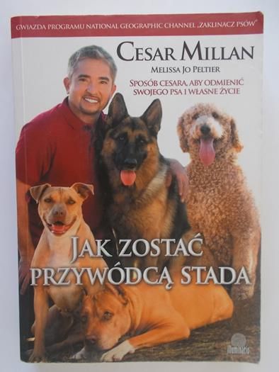 Jak zostać przywódcą stada