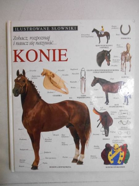 llustrowane słowniki. Konie