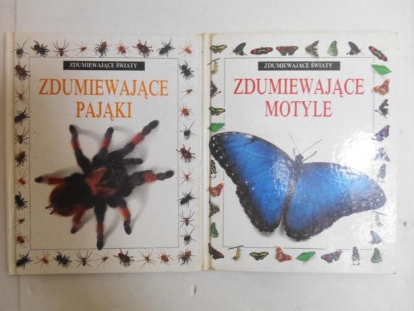 Still John - Zdumiewające pająki / Zdumiewające motyle