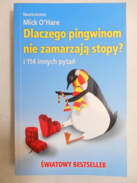 Dlaczego pingwinom nie zamarzają stopy?