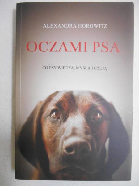 Oczami psa