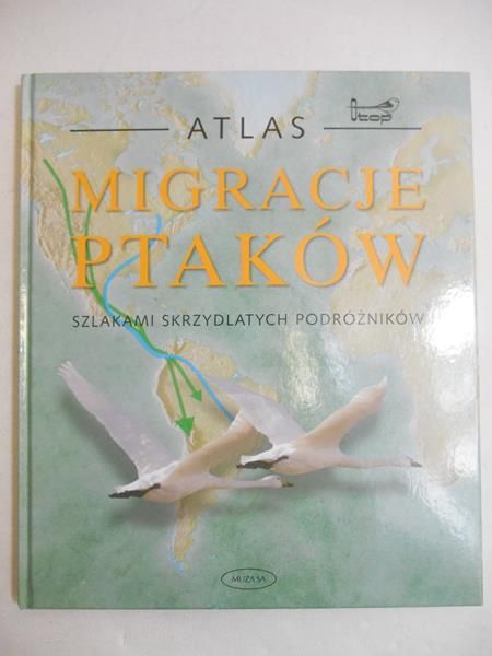 Migracje ptaków
