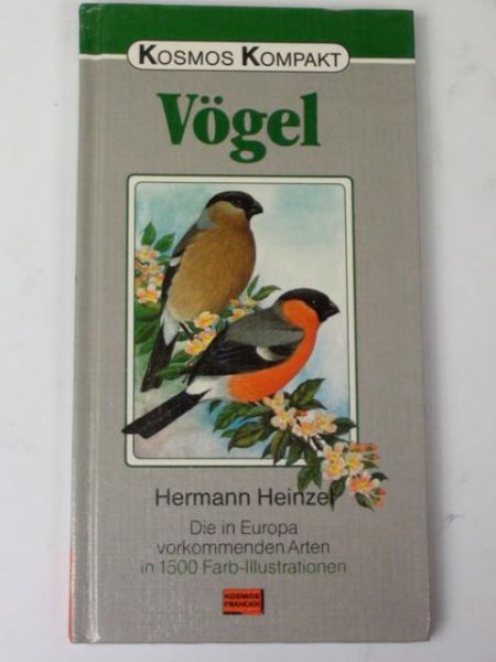Vogel