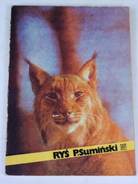 Ryś