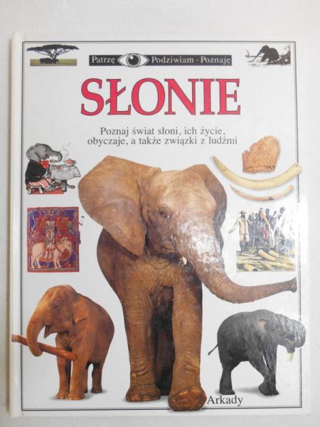 Słonie