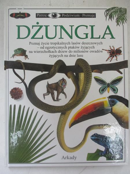 Greenaway Theresa - Dżungla
