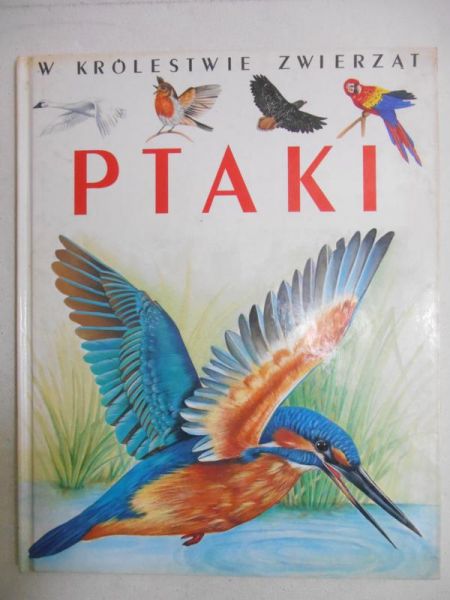 Ptaki