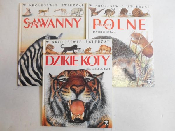 Zwierzęta sawanny / Zwierzęta polne / Dzikie koty