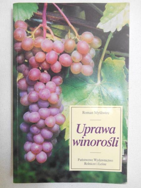 Uprawa winorośli