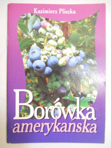 Borówka amerykańska