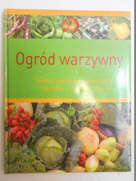 Ogród warzywny. Świeże warzywa z własnego ogródka  uprawa i zbiory