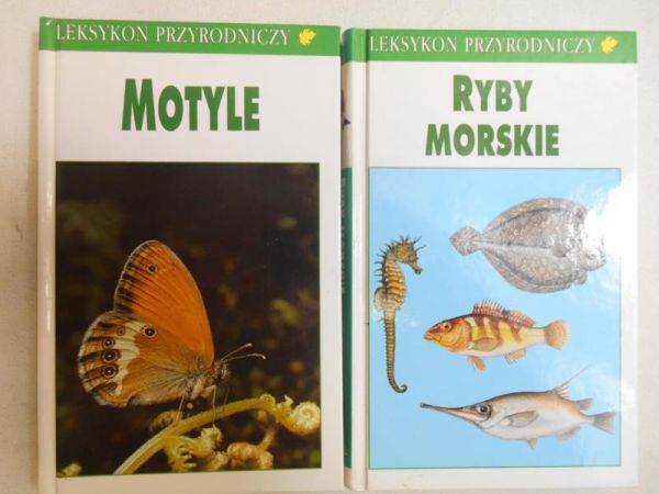 Motyle  Ryby morskie