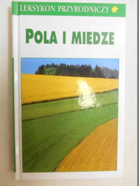 Pola i miedze