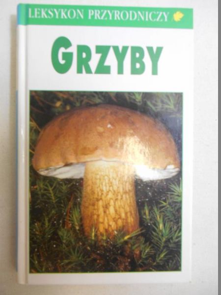 Grzyby